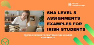 examples of sna assignments ireland