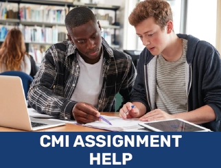 cmi-assignment-help